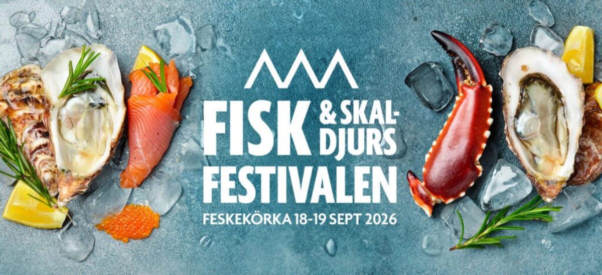 Festiva_head_1200x550